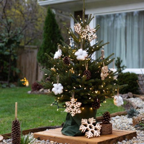 Christmas Decorations Ideas Outdoor
