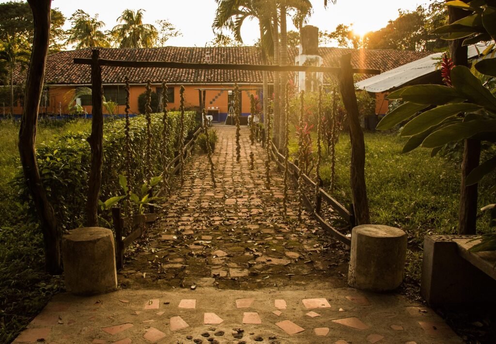 Modern backyard patio with wooden deck, outdoor seating, and landscaped garden with greenery and decorative plants.