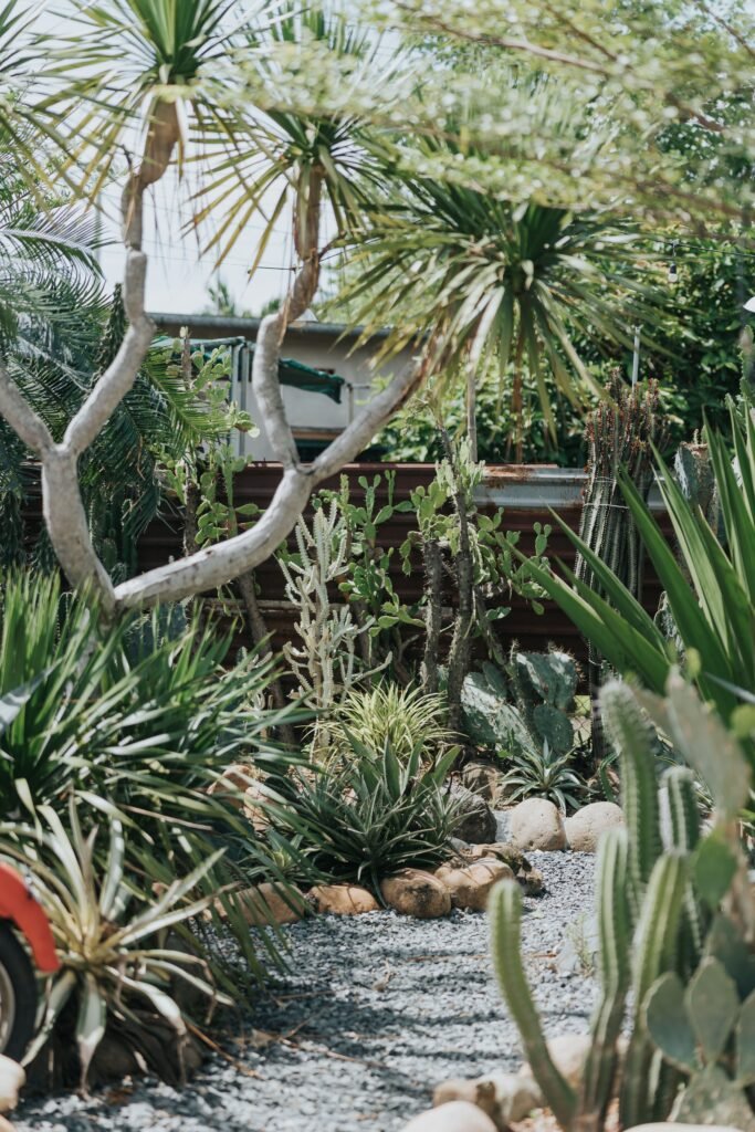 Low-maintenance backyard without grass featuring a decorative dry creek bed, natural stones, gravel landscaping, drought-tolerant plants, and a modern outdoor seating area.