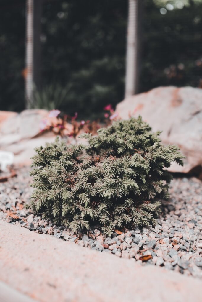 Low maintenance backyard ideas without grass featuring a gravel and paver patio with outdoor seating, decorative stones, and drought-tolerant plants