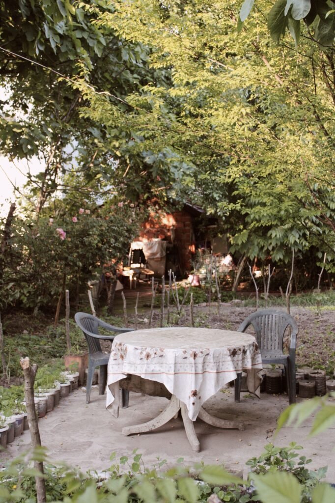 Low maintenance backyard without grass featuring a coffee table set on snow in winter sunshine