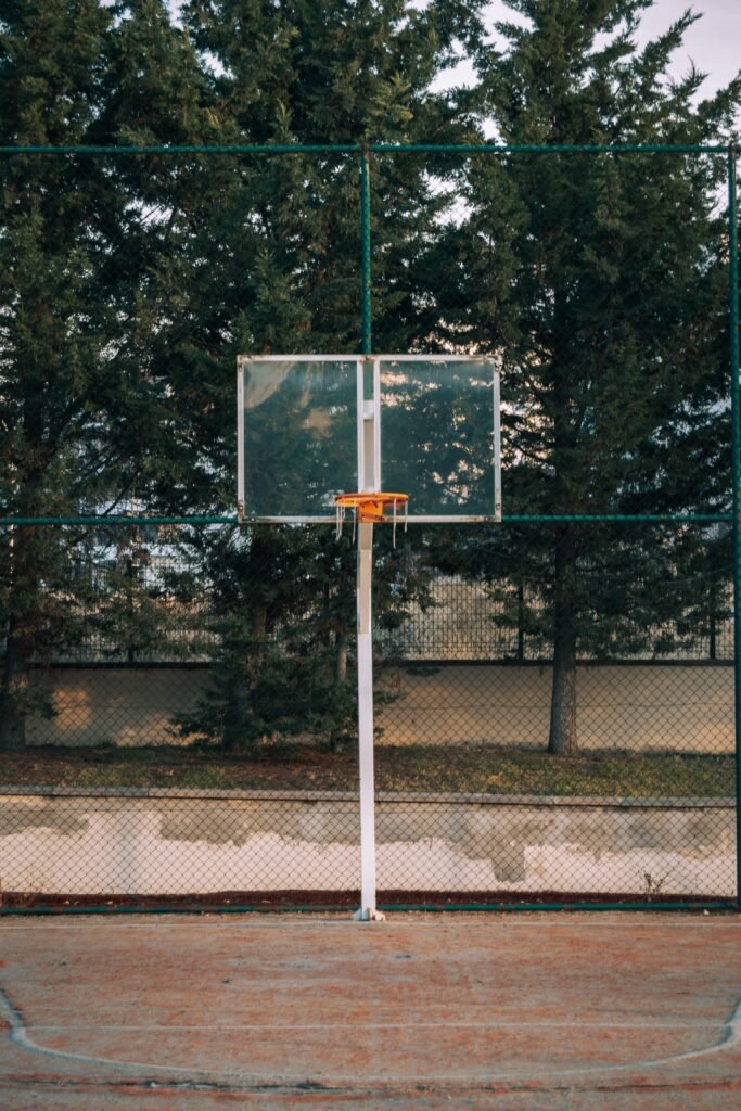 Low maintenance backyard ideas without grass featuring a multi-use game court with paved surface, basketball markings, and surrounding low-care landscaping.