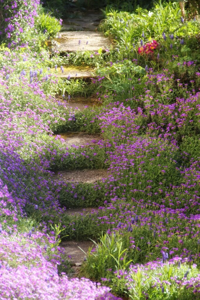 Backyard with low-growing ground cover plants, mulch beds, and decorative landscaping as low maintenance backyard ideas without grass.