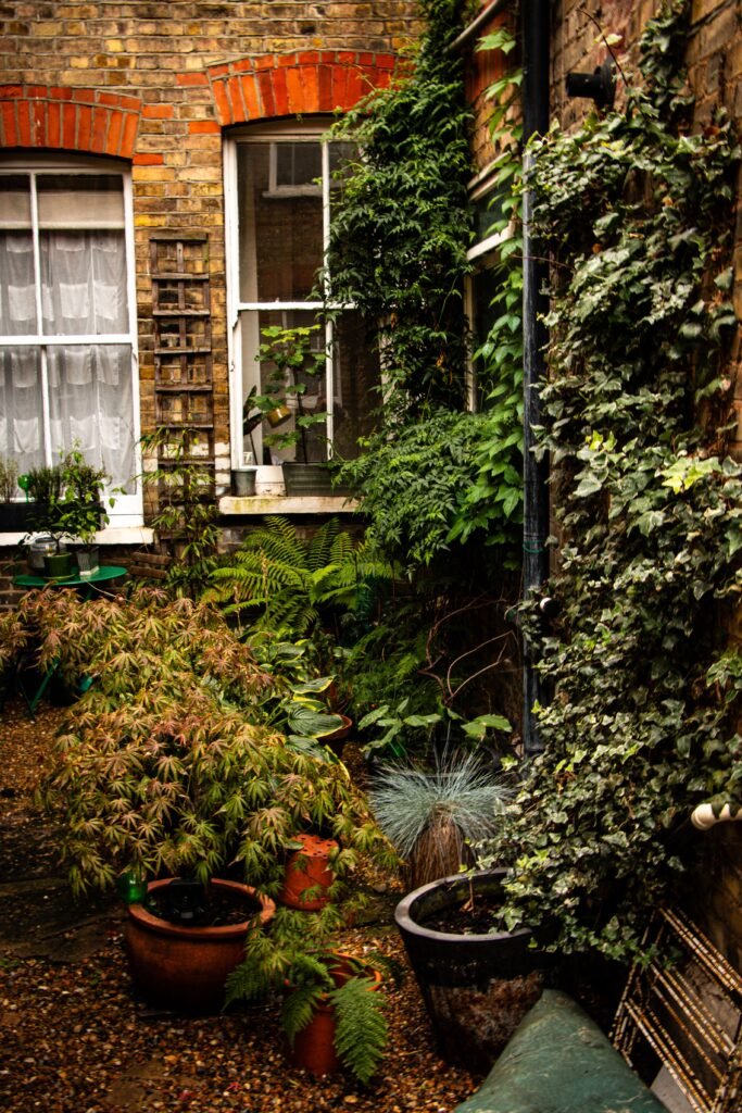 Low-maintenance backyard featuring climbing plants growing on trellises and fences, surrounded by gravel pathways, drought-tolerant landscaping, and cozy outdoor seating.
